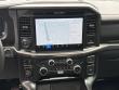 2025 Ford F-150 Tremor Pickup