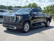 2025 GMC Sierra 1500 Denali Pickup