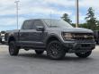 2025 Ford F-150 Tremor Pickup