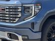 2025 GMC Sierra 1500 Denali Pickup