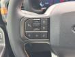 2025 Ford F-150 Tremor Pickup
