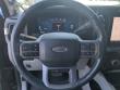 2024 Ford Super Duty F-250 SRW Limited Pickup