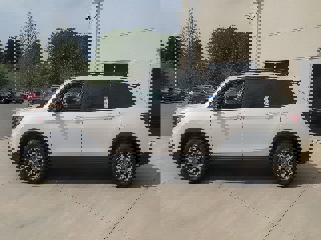 2023 Honda Passport TrailSport photo 6