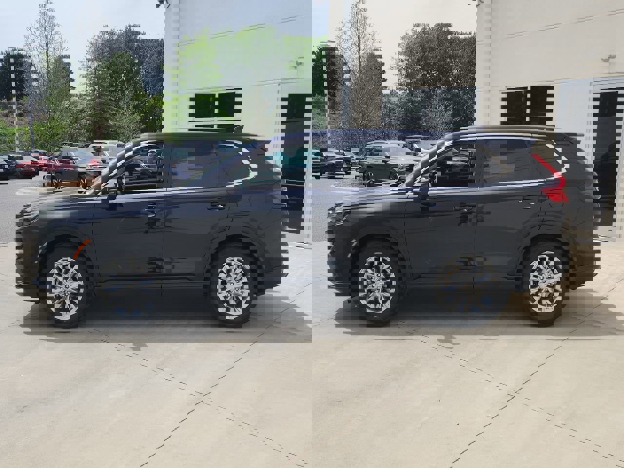 2025 Honda CR-V EX-L photo 6