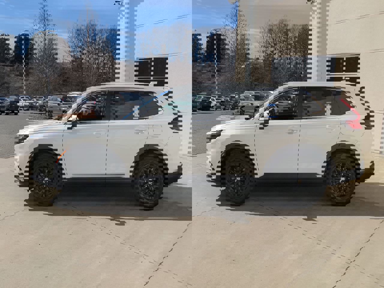 2023 Honda CR-V EX-L photo 6