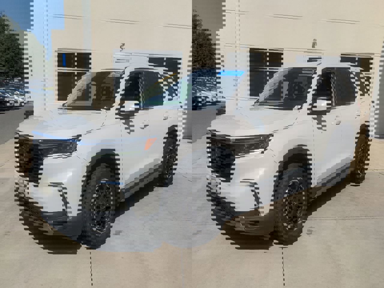2025 Honda Pilot EX-L photo 3