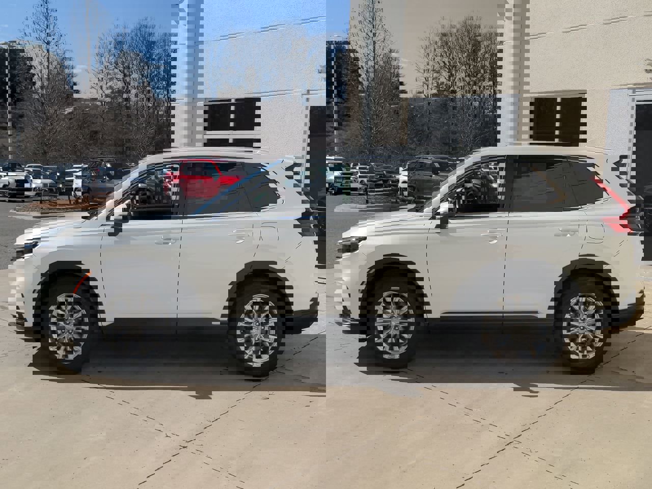 2023 Honda CR-V EX-L photo 6