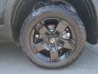 2024 Honda Ridgeline Black Edition Pickup