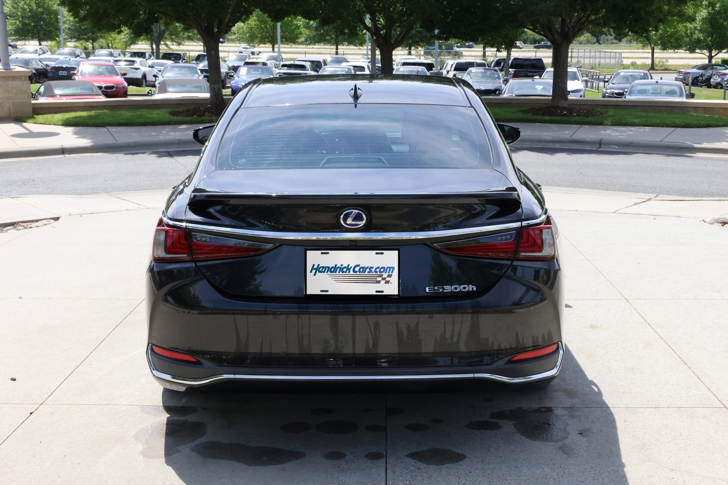 LEXUS ES ES 300h