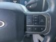 2024 Ford Super Duty F-250 SRW Limited Pickup