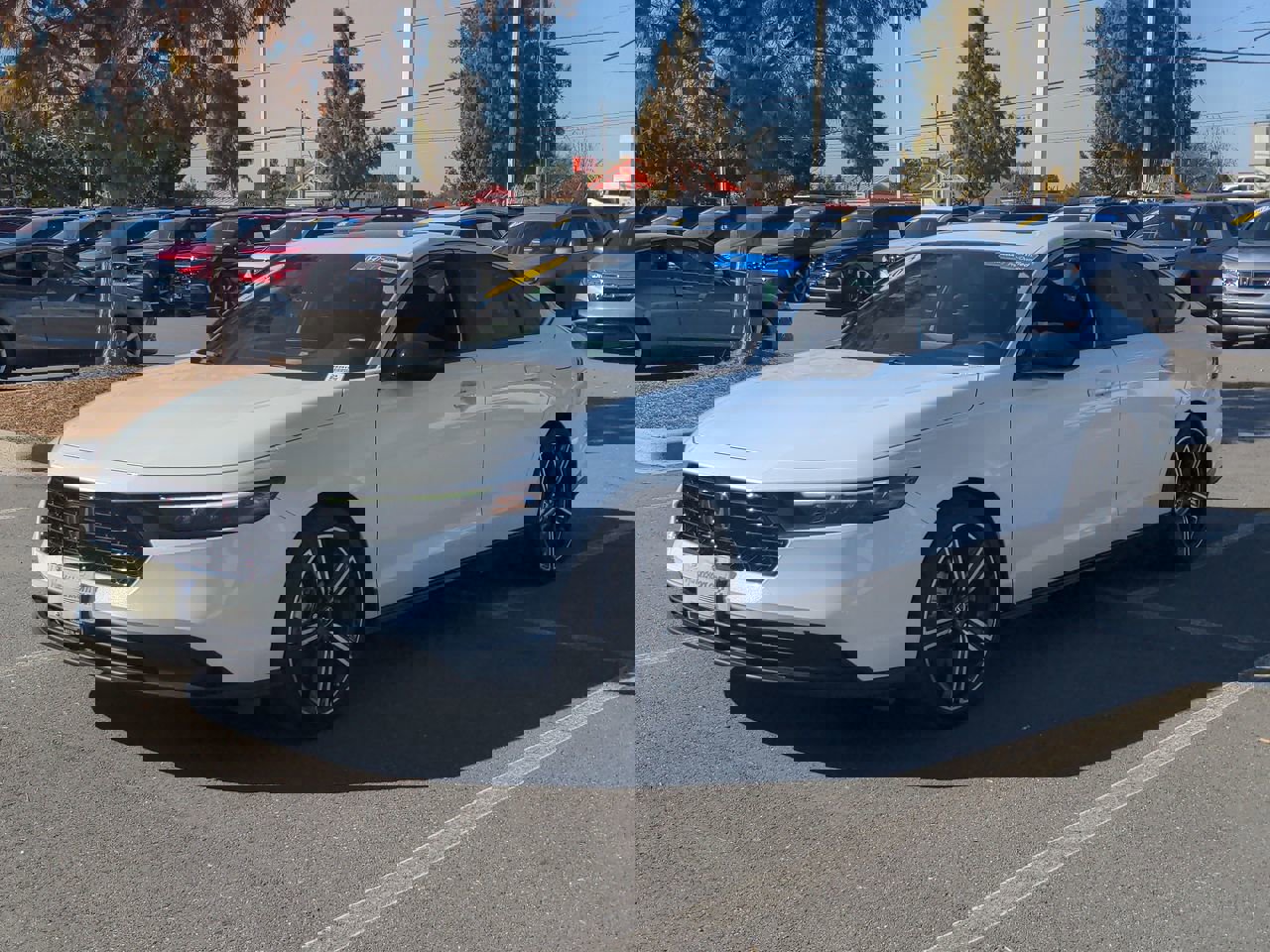 2023 Honda Accord Hybrid Sport photo 3