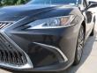 2019 LEXUS ES ES 350 Sedan