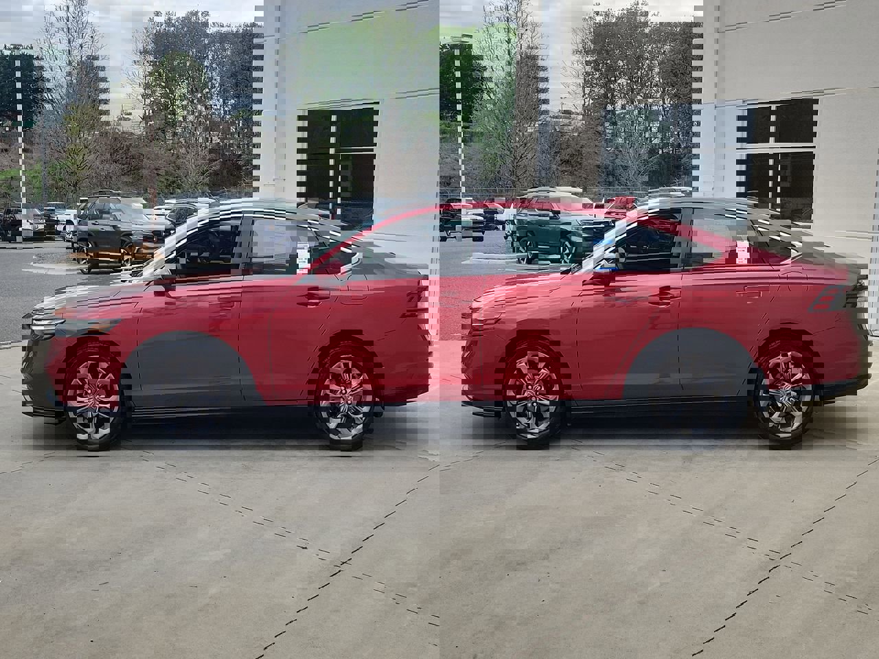 2023 Honda Accord EX photo 6