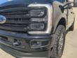 2024 Ford Super Duty F-250 SRW Limited Pickup