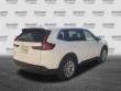 2024 Honda CR-V EX-L SUV