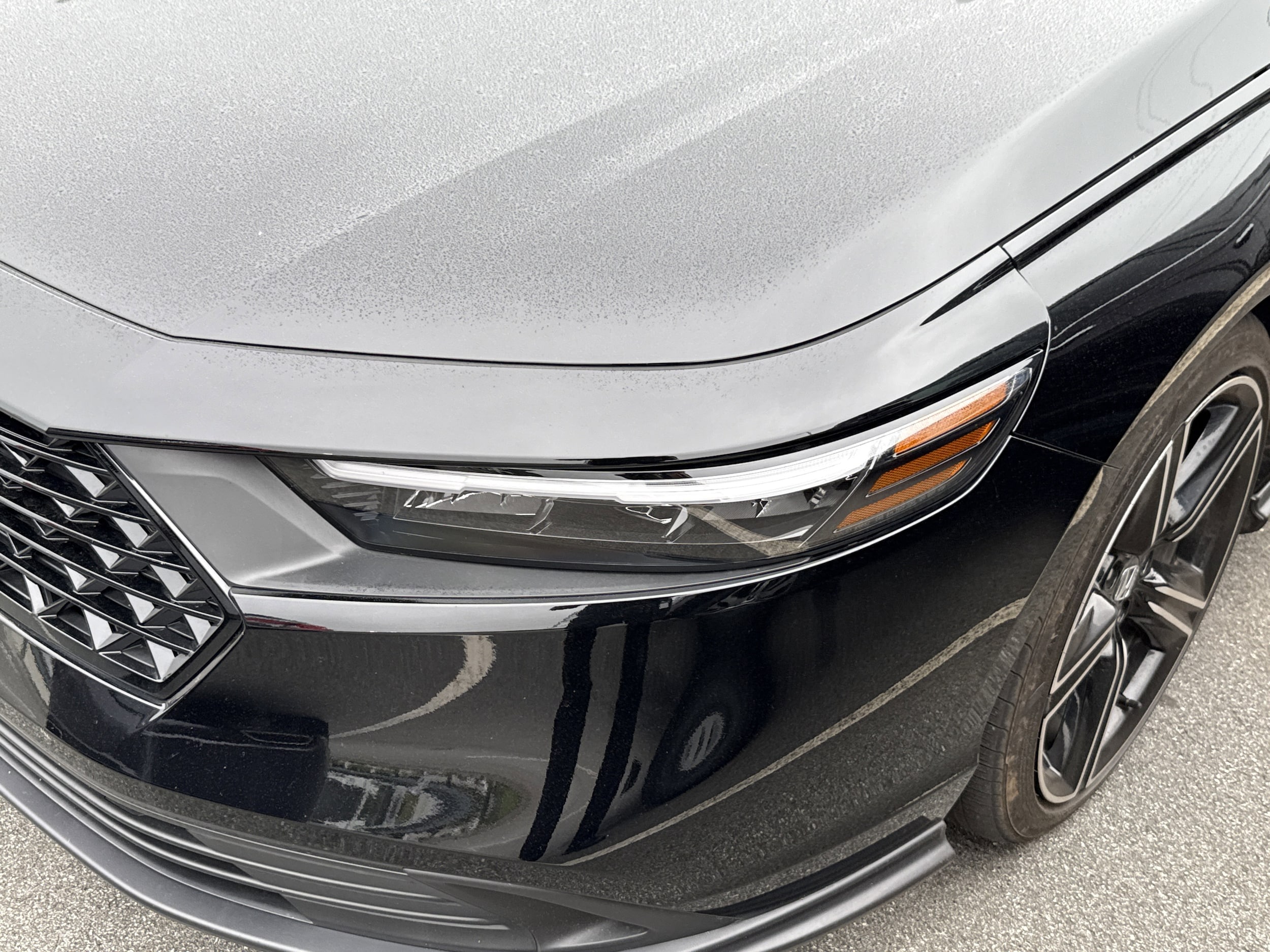 2025 Honda Accord Hybrid Sport photo 5