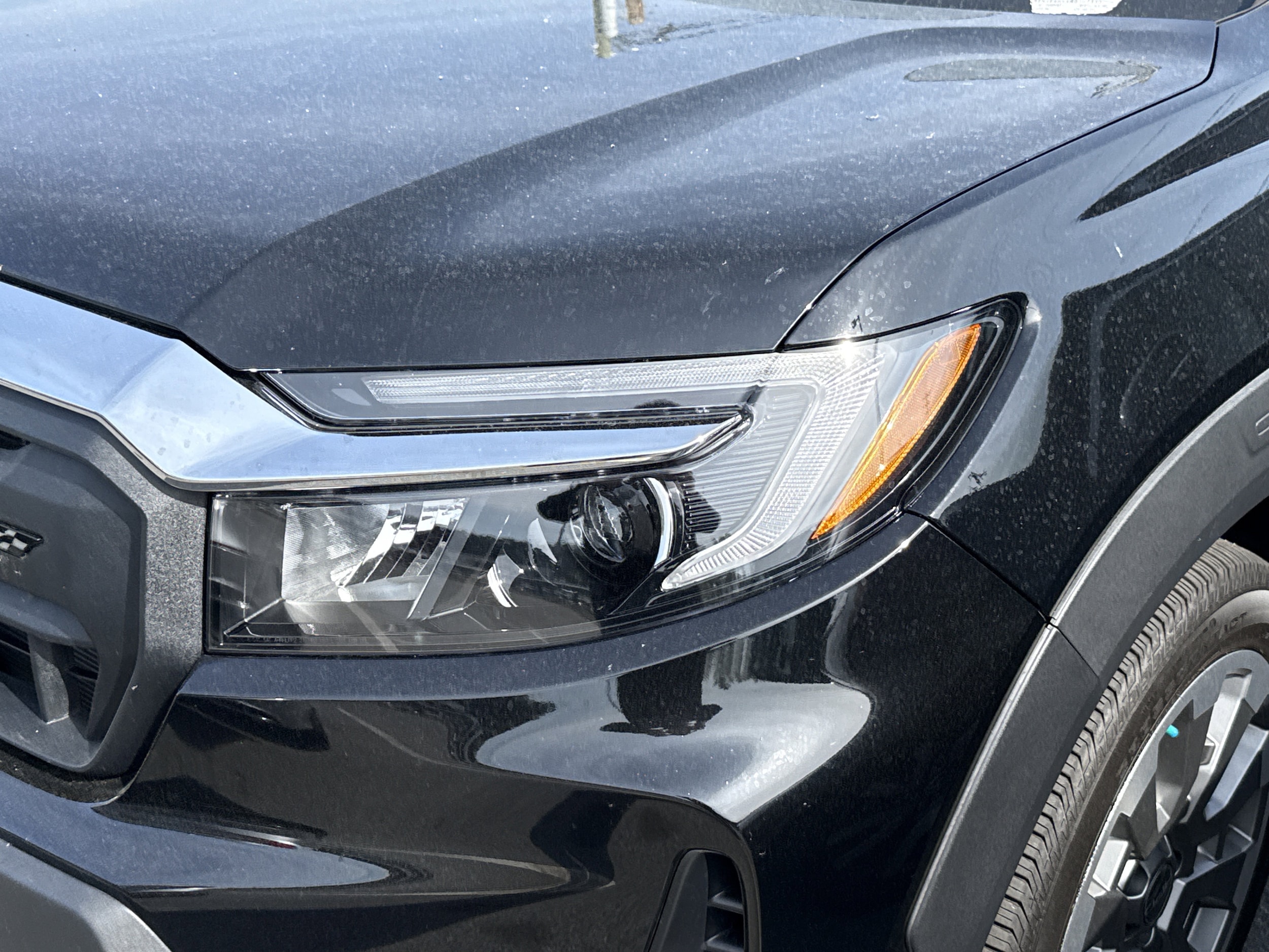 2025 Honda Passport EX-L photo 6