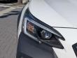 2025 Subaru Outback Wilderness SUV
