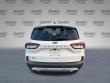 2022 Ford Escape SE SUV