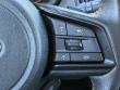 2025 Subaru Outback Wilderness SUV