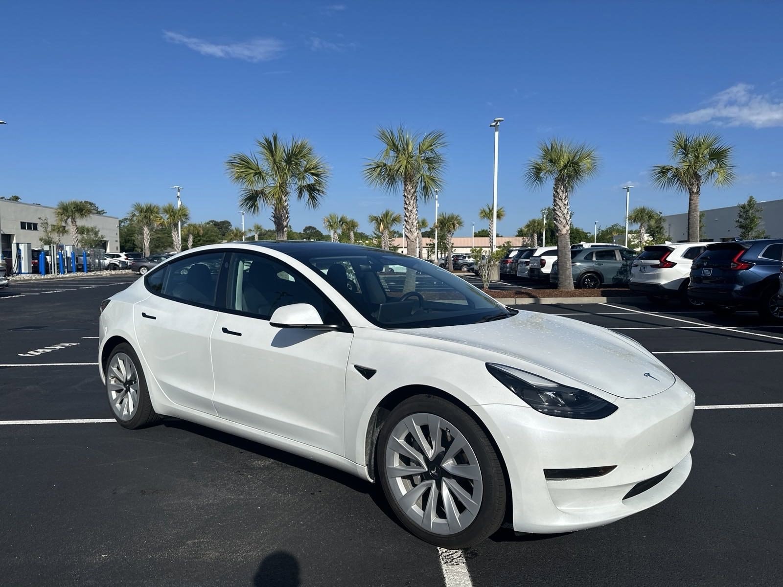 Used 2023 Tesla Model 3  with VIN 5YJ3E1EA3PF434186 for sale in Charlotte, NC
