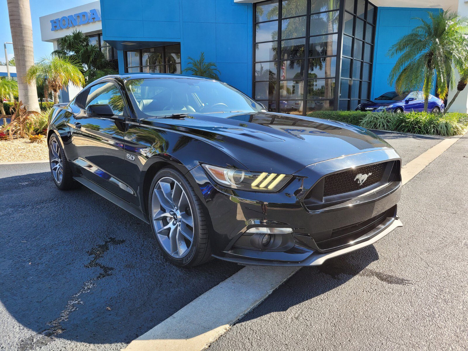 Used 2015 Ford Mustang GT Premium with VIN 1FA6P8CF3F5301156 for sale in Pompano Beach, FL