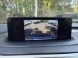 2020 LEXUS RX 350 350 F SPORT Performance AWD SUV