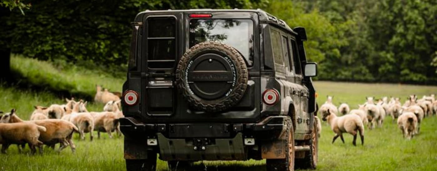 A grey 2025 INEOS Grenadier from the rear at an angle.