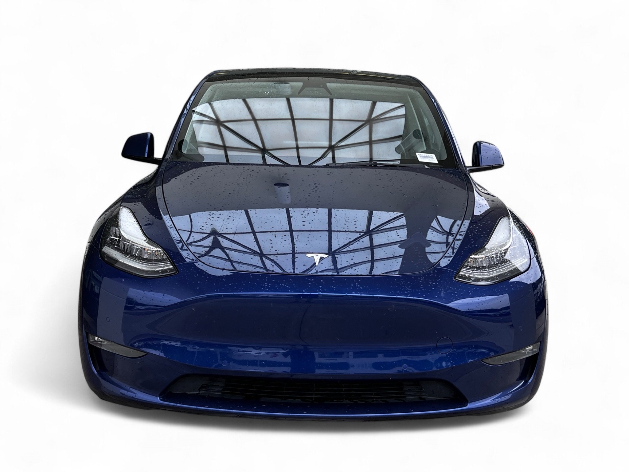 2021 Tesla Model Y photo 2