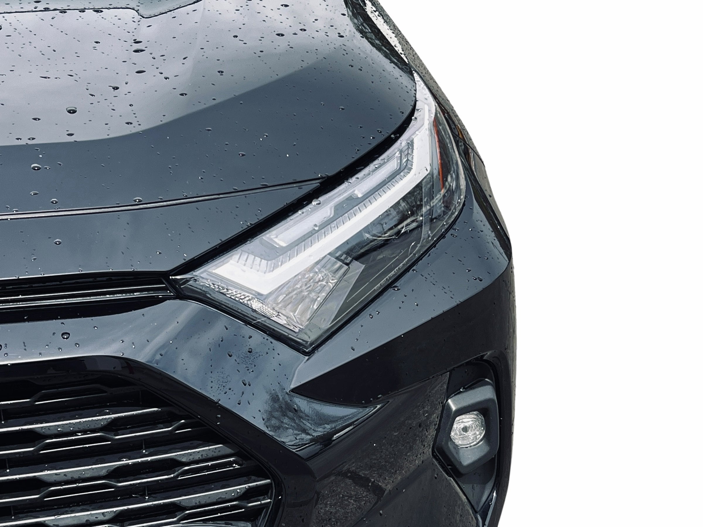 2023 Toyota RAV4 XLE Premium photo 4