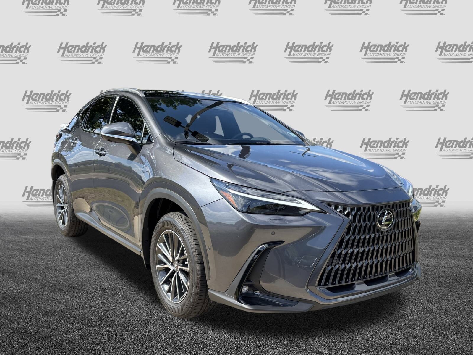 2025 Lexus NX 350h Luxury photo 2