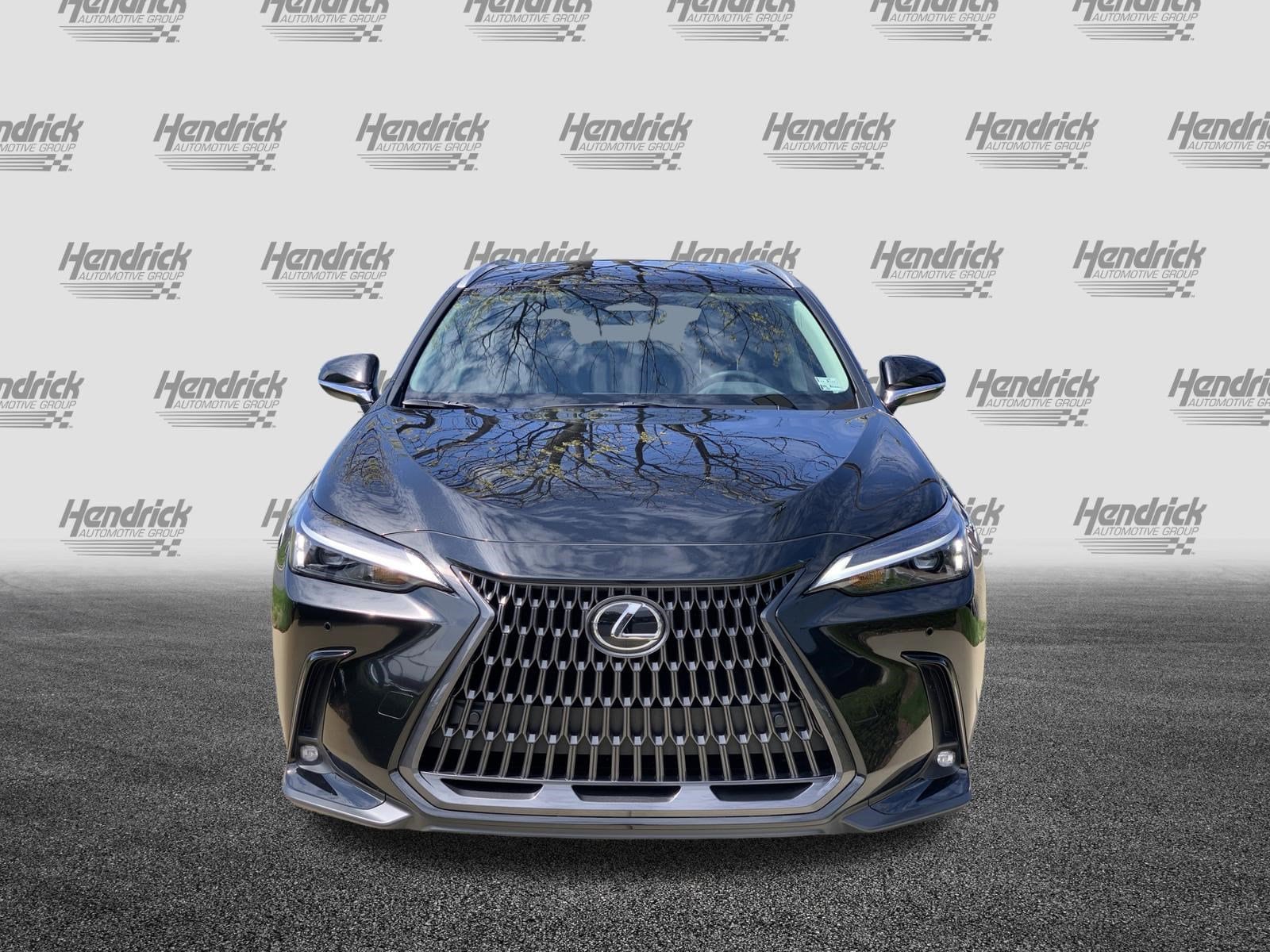 2026 LEXUS NX 350 350 Premium photo 2