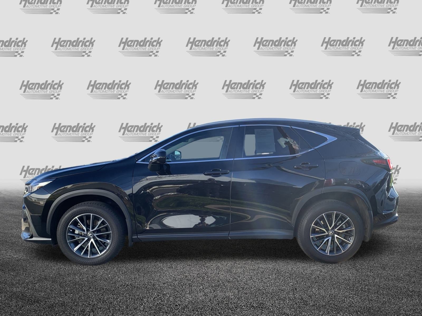 2025 LEXUS NX 350 Premium photo 4
