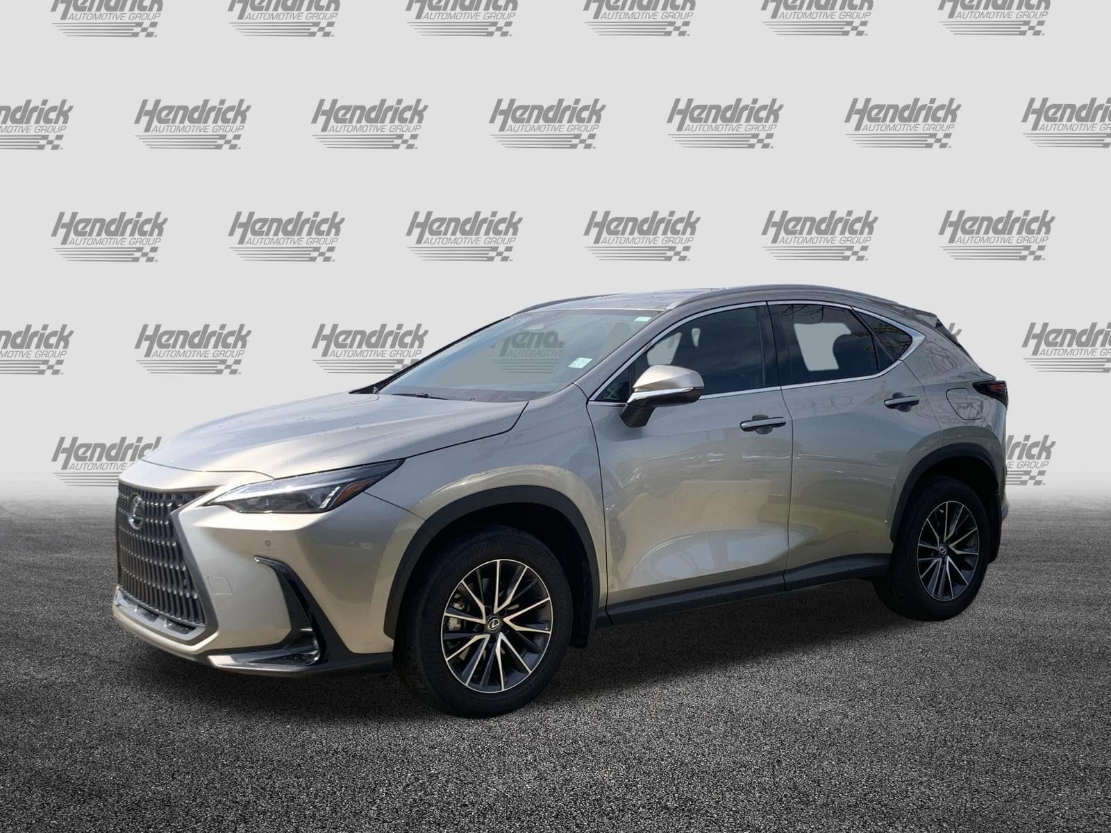 2024 LEXUS NX 250 Premium photo 2
