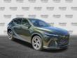 2025 LEXUS RX 350 Premium SUV