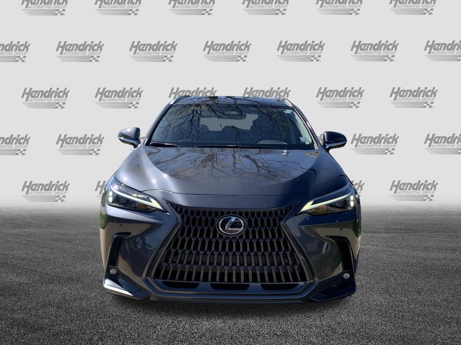 2024 LEXUS NX 250 250 Premium photo 2