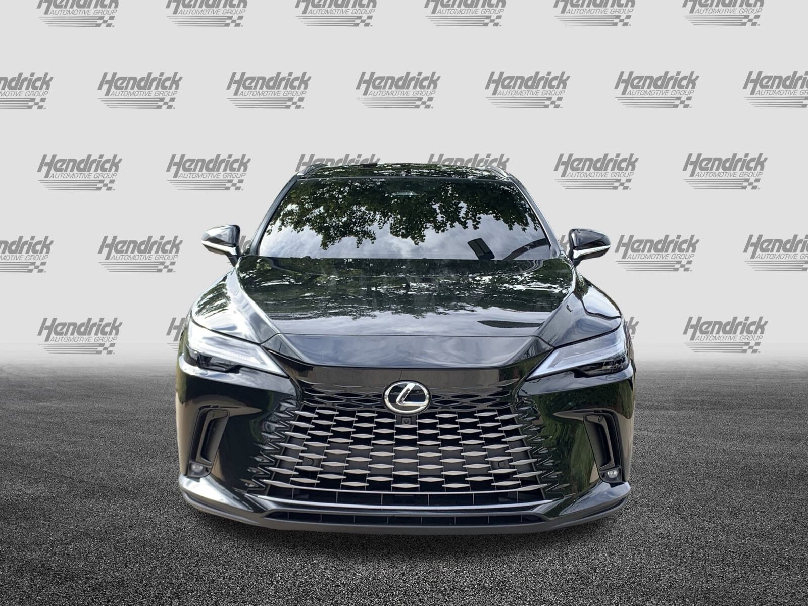 2025 Lexus RX 450h Luxury photo 3