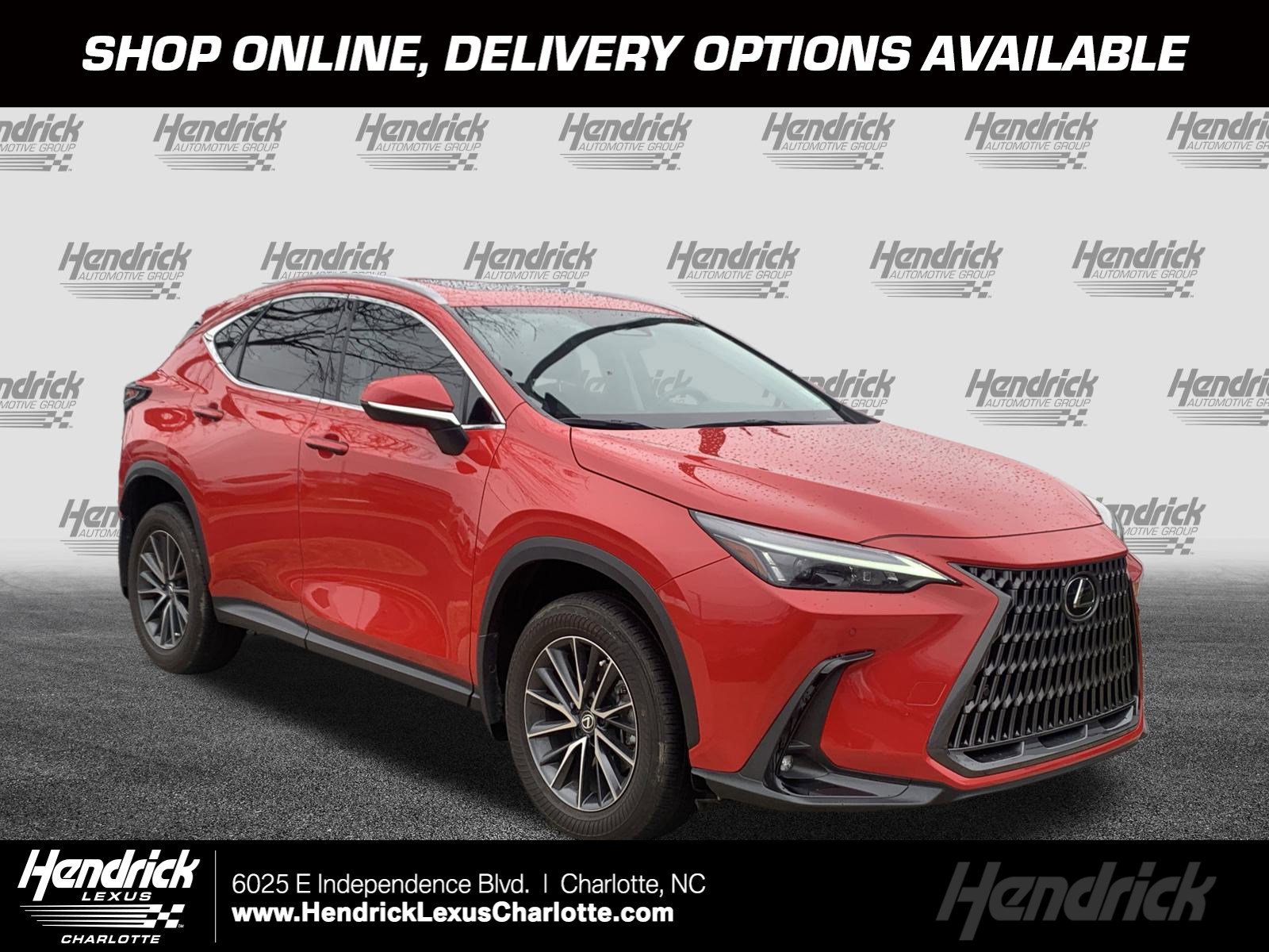 2024 Lexus NX 250