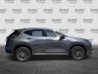 2024 LEXUS NX 250 Premium SUV