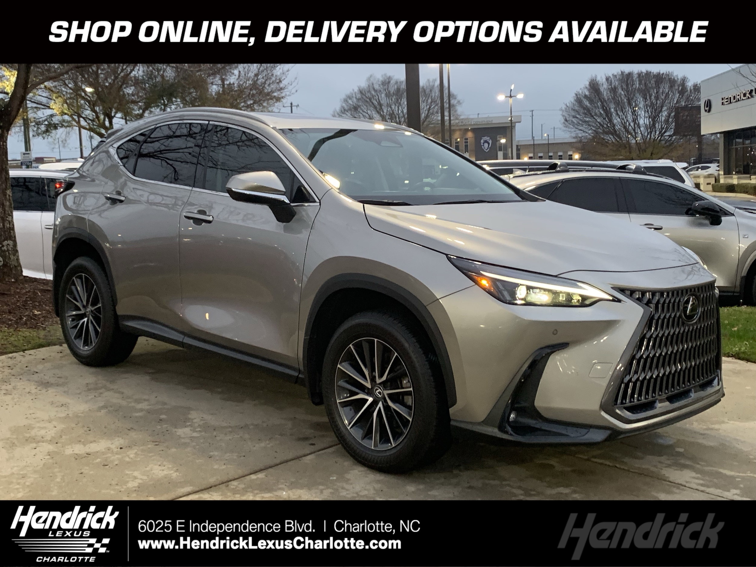 2024 Lexus NX 250's photo