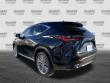 2024 LEXUS NX 350 350 Luxury SUV