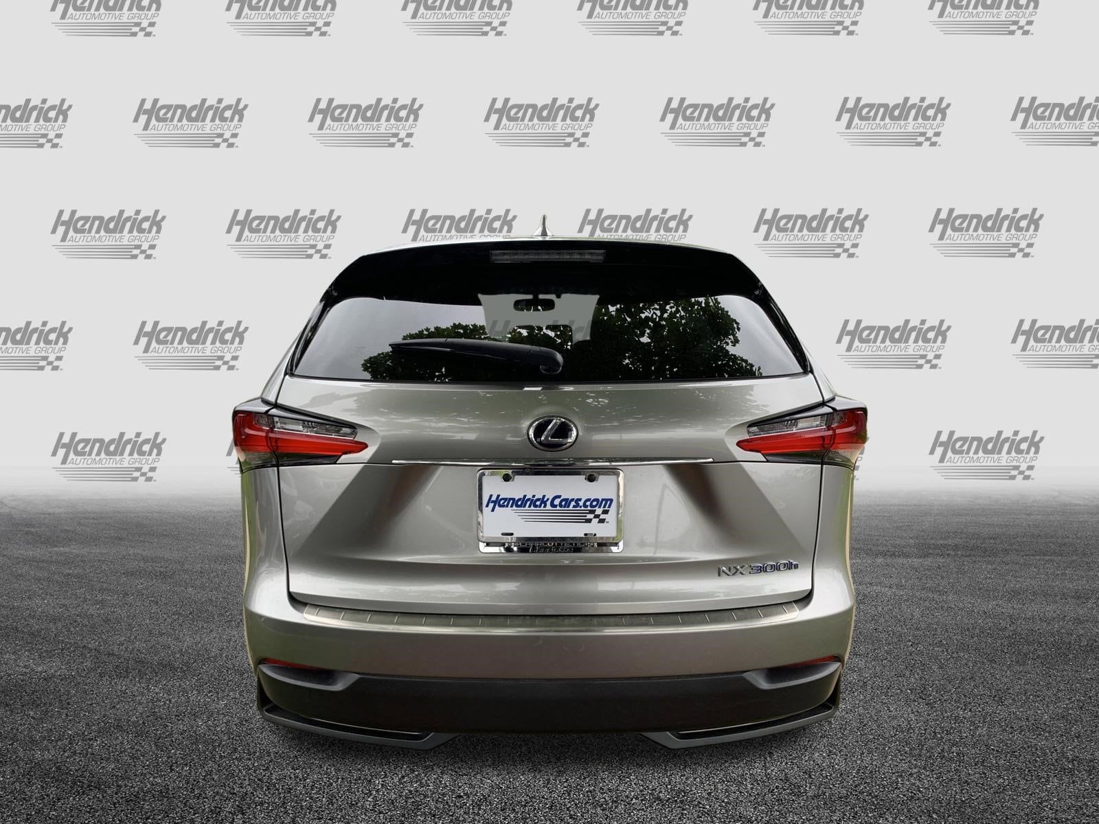 2015 LEXUS NX 300h photo 3