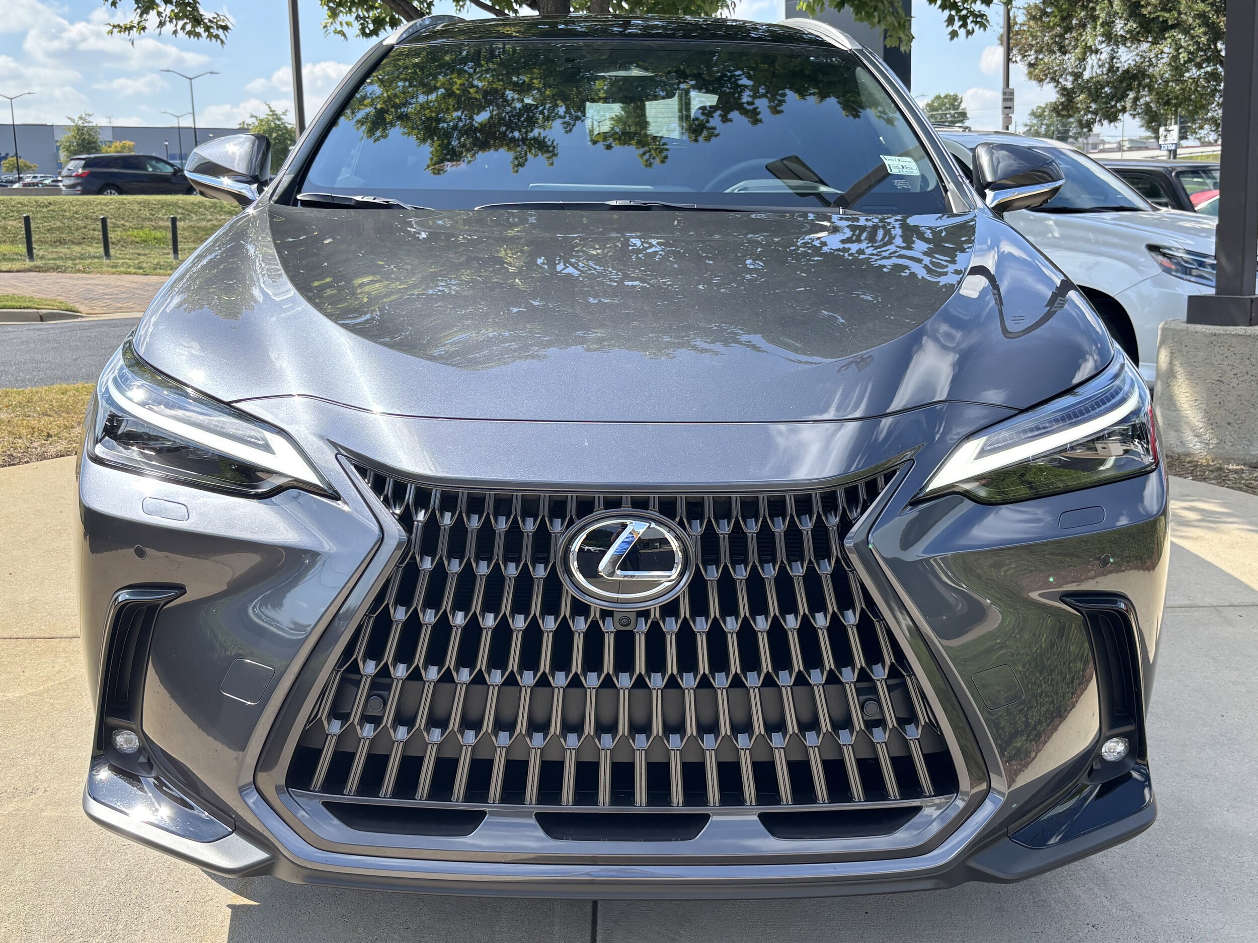 2025 Lexus NX 350h Luxury photo 3
