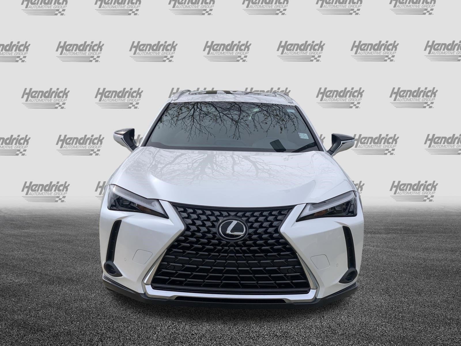 2025 LEXUS UX 300h 300h Premium photo 2