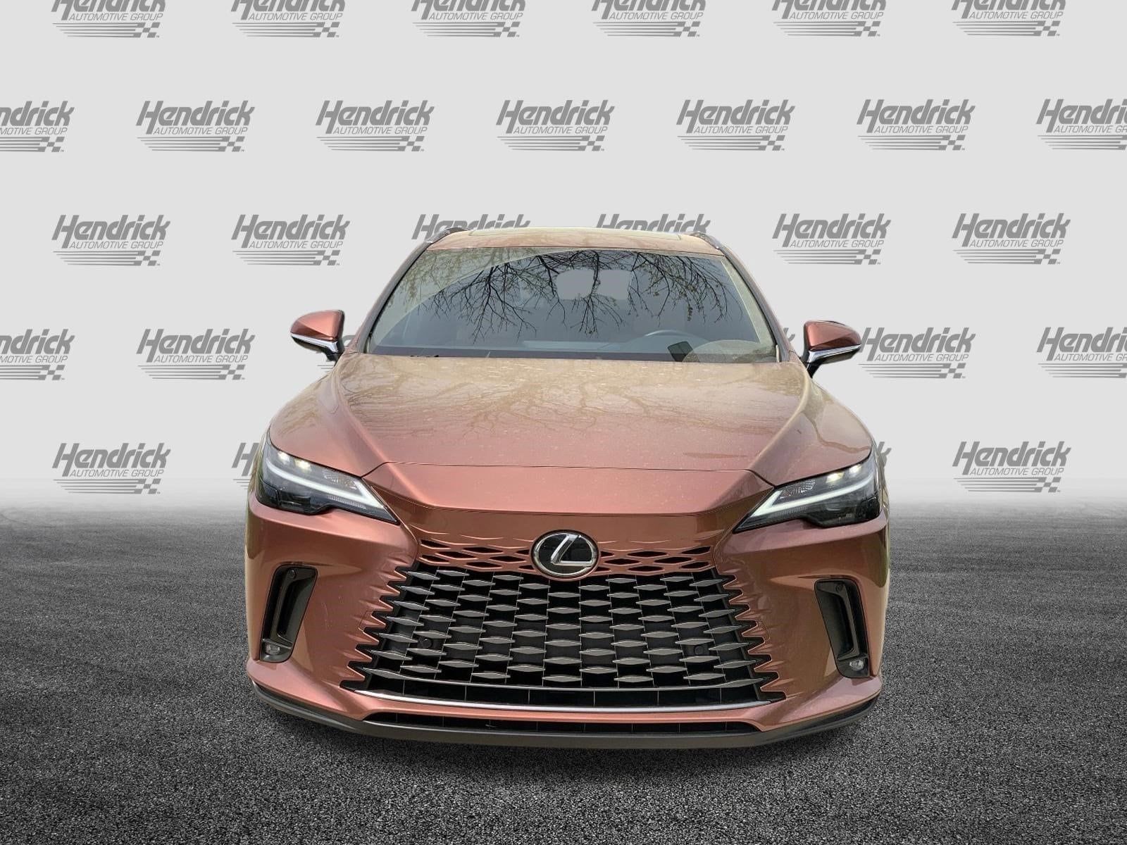 2025 LEXUS RX 350 350 Premium photo 2