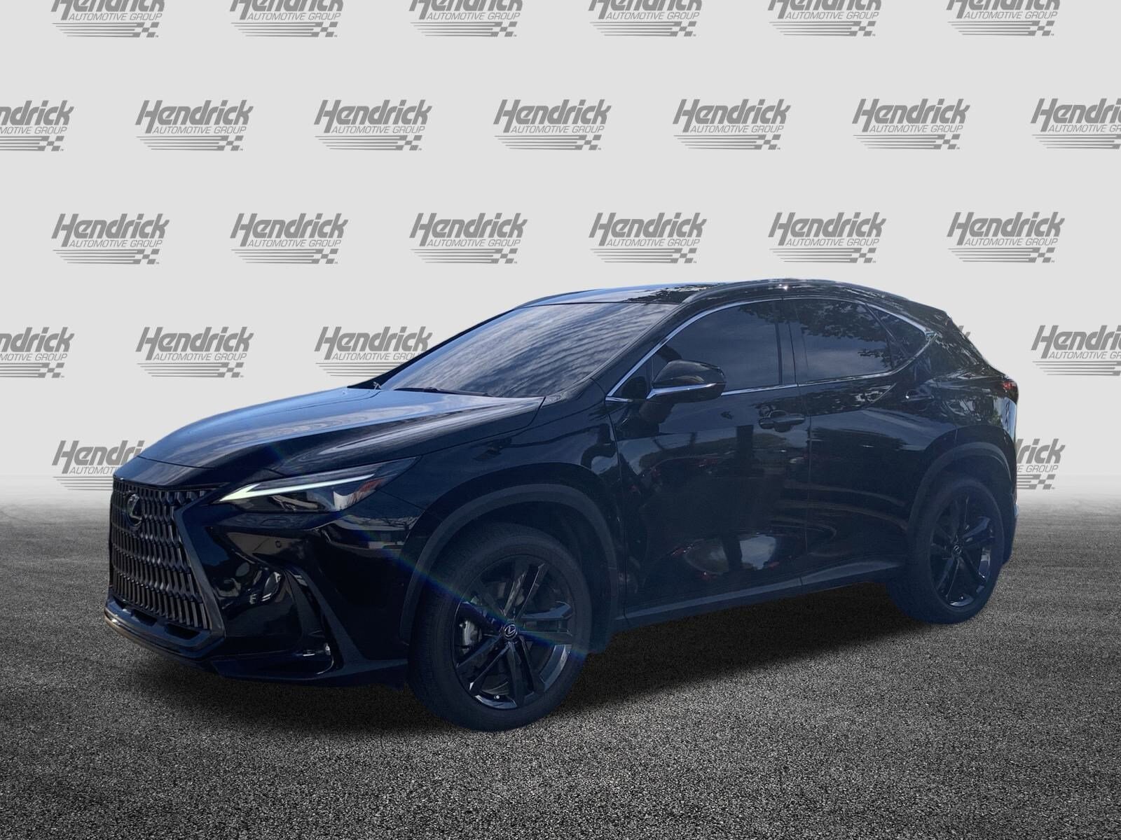 2025 Lexus NX Luxury photo 3
