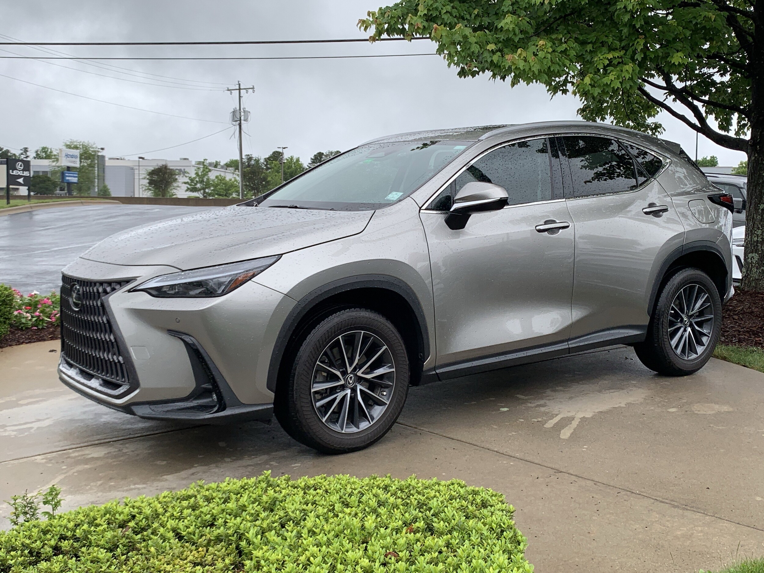 2022 LEXUS NX 350 Premium photo 2