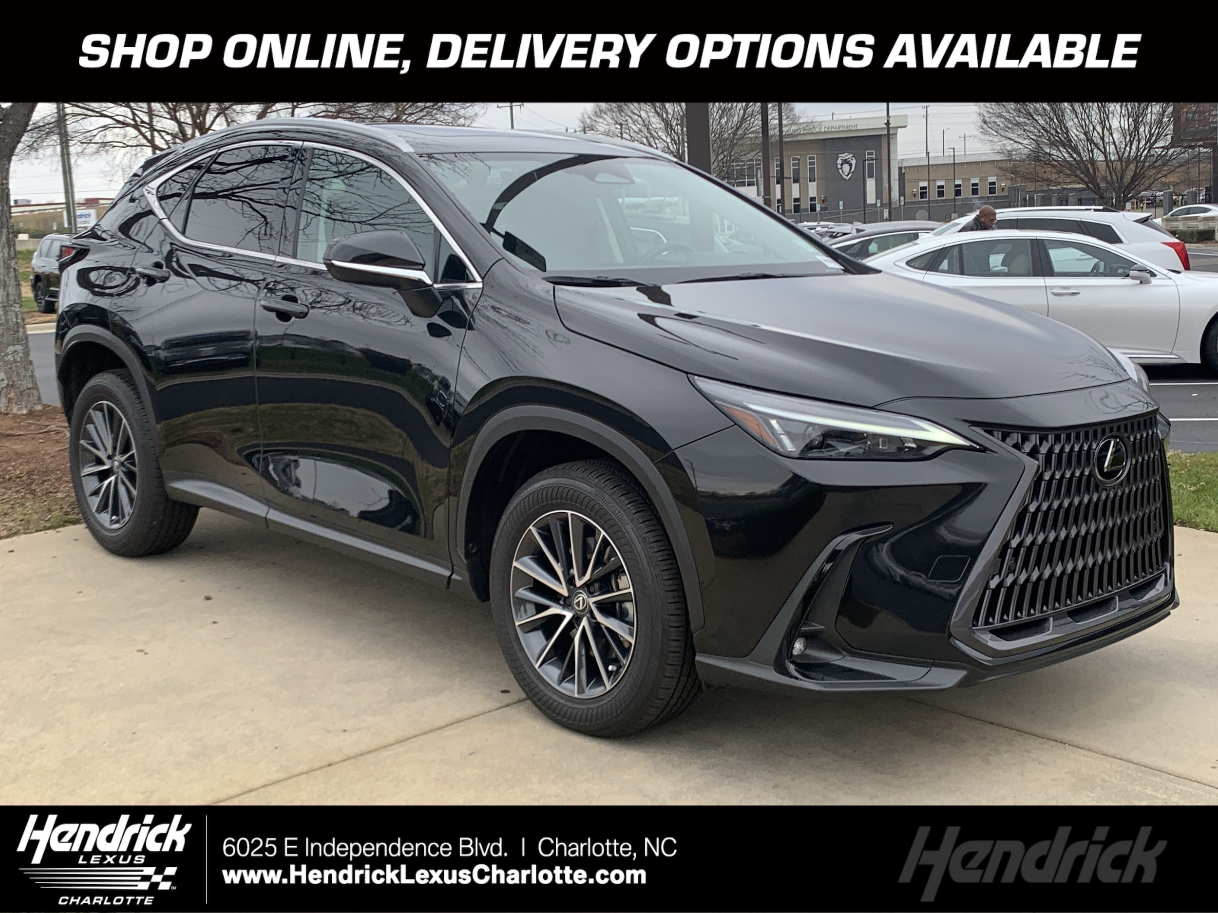 2025 Lexus NX 350's photo