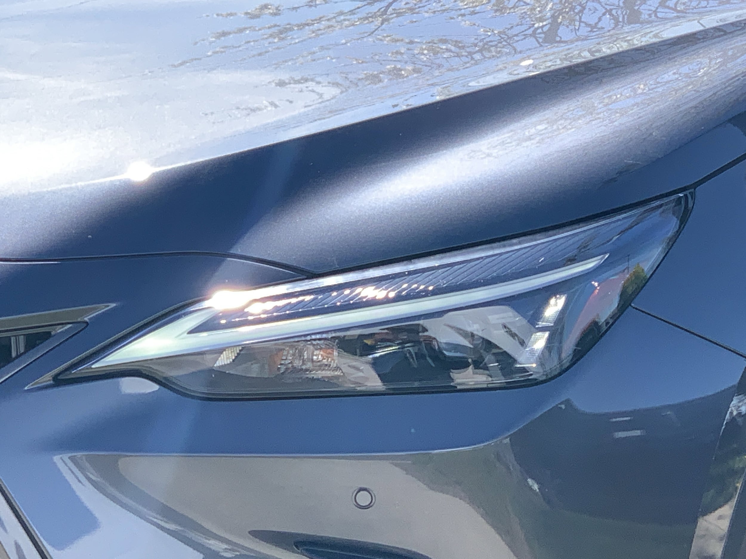 2024 LEXUS NX 250 250 Premium photo 4