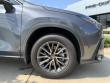 2025 LEXUS NX 250 Premium SUV